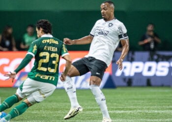 Como Chegar ao Estádio Nilton Santos para Botafogo x Palmeiras