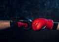 As melhores luvas de boxe para iniciantes em 2025!