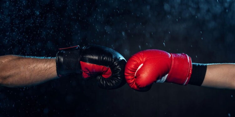 As melhores luvas de boxe para iniciantes em 2025!