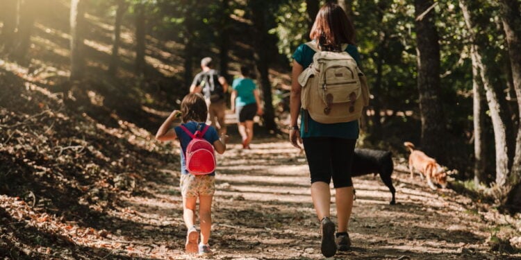Trilhas leves para curtir a natureza com a família no fim de semana