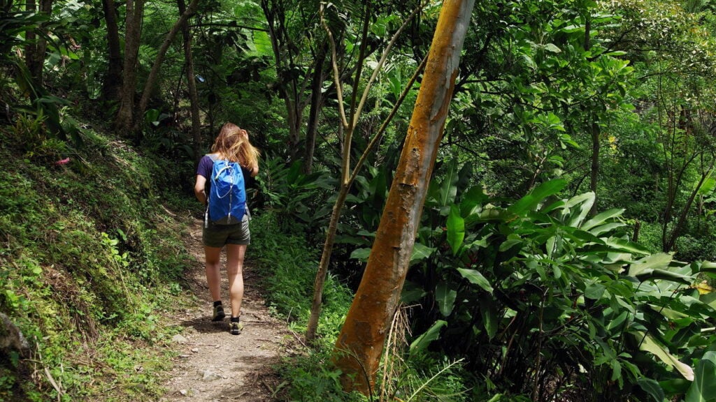 Caminhadas e trilhas mais bonitas do Brasil para iniciantes