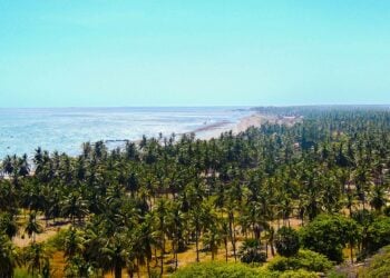 Paraíso escondido no Ceará oferece quilômetros de praia sem multidões de turistas