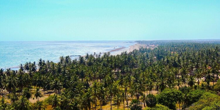 Paraíso escondido no Ceará oferece quilômetros de praia sem multidões de turistas
