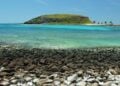 Arquipélago da Bahia vira destino mágico com recifes de corais e expedições de julho a novembro