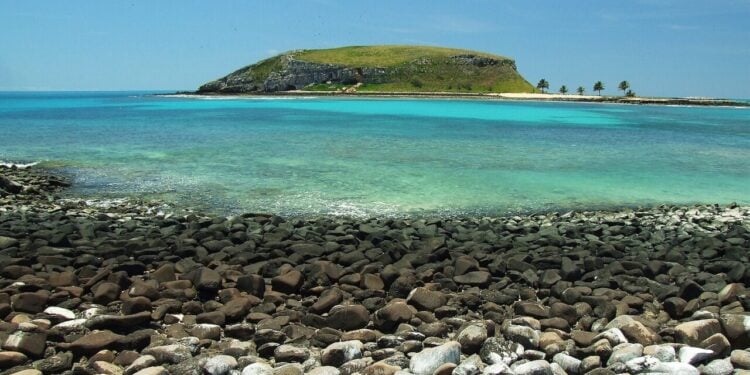 Arquipélago da Bahia vira destino mágico com recifes de corais e expedições de julho a novembro