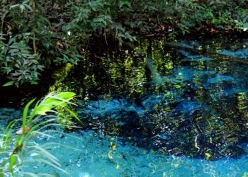 Cidade oferece águas cristalinas e cachoeiras com preços mais acessíveis que Bonito