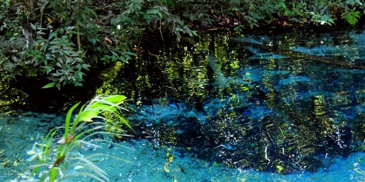 Cidade oferece águas cristalinas e cachoeiras com preços mais acessíveis que Bonito