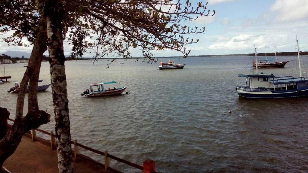 Cidade do litoral paulista une ruas de pedra coloniais com observação de golfinhos e trilhas na Mata Atlântica