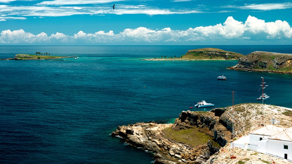 Arquipélago da Bahia vira destino mágico com recifes de corais e expedições de julho a novembro
