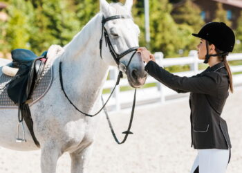 Uma peça clássica pode transformar seu guarda-roupa em símbolo de elegância