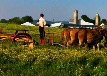 Moda equestre conquista as ruas com elegância e sofisticação