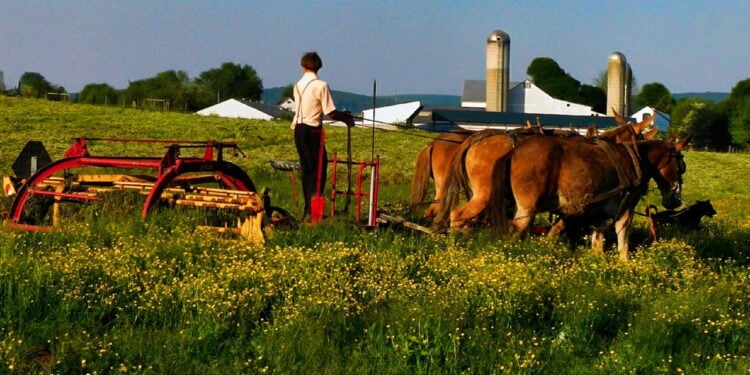 Moda equestre conquista as ruas com elegância e sofisticação