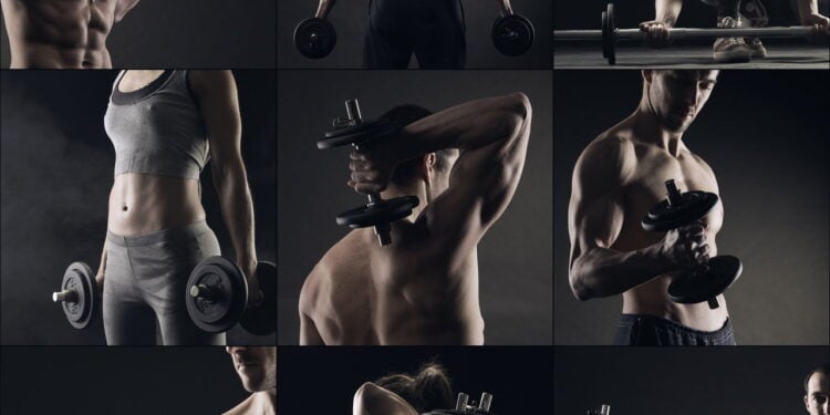 Musculação correta fortalece coluna e previne dores posturais